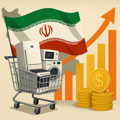 صنعت لوازم خانگی ایران و نقش آن در اقتصاد  بررسی فرصت‌ها و چالش‌ها  ارکا نیوز
